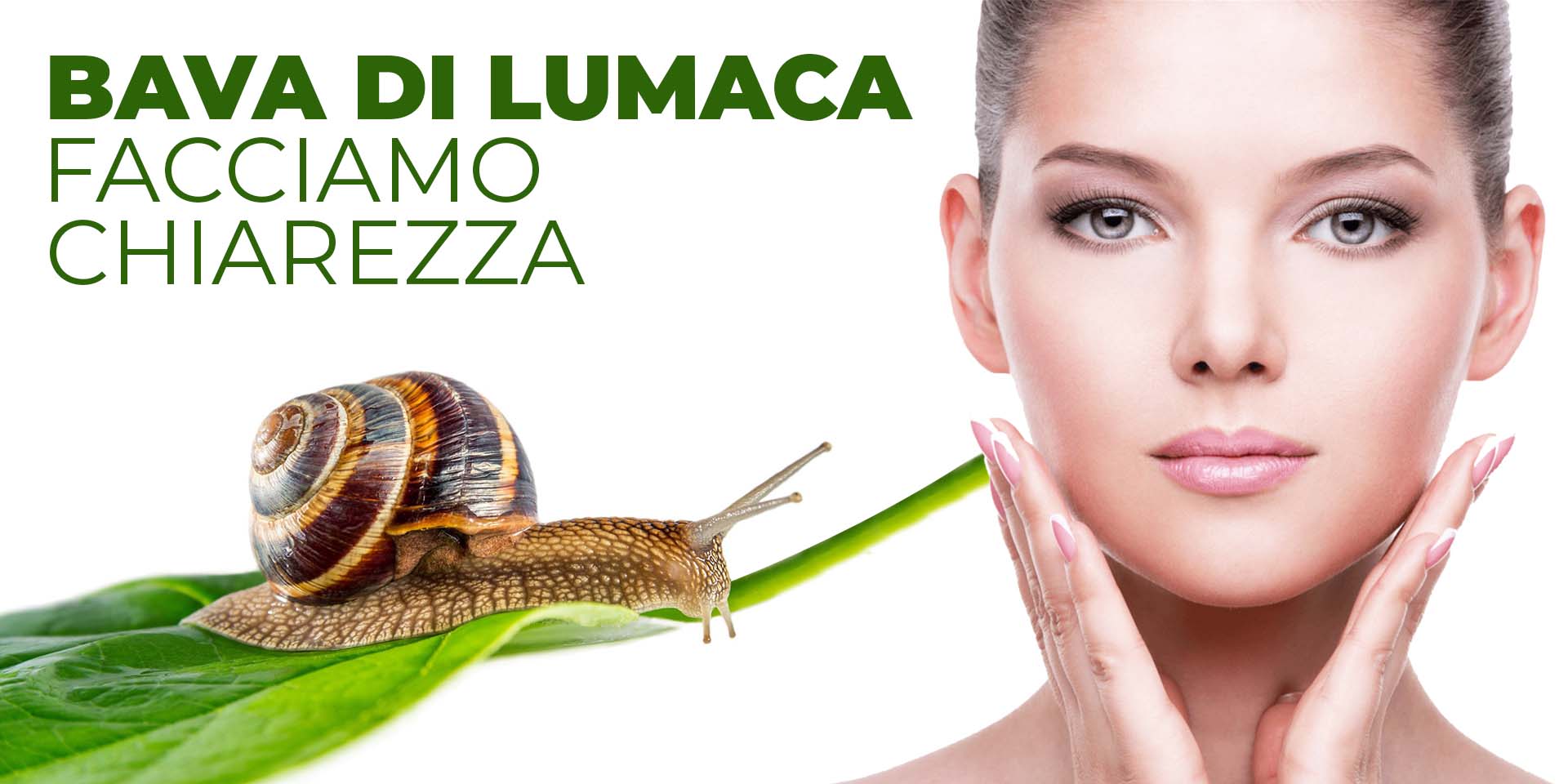 BAVA DI LUMACA...FACCIAMO CHIAREZZA!